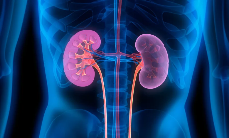 kidney disease
